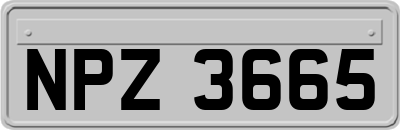 NPZ3665