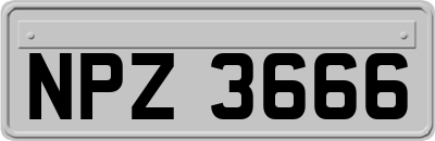 NPZ3666