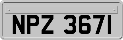 NPZ3671