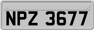 NPZ3677