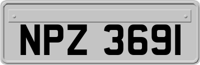 NPZ3691
