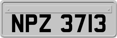 NPZ3713