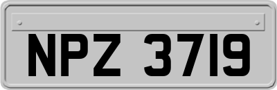 NPZ3719