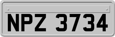 NPZ3734