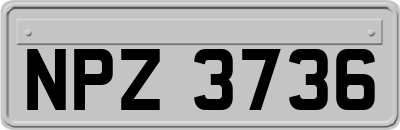 NPZ3736