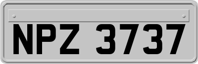 NPZ3737