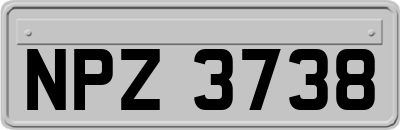 NPZ3738