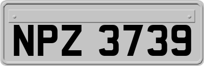 NPZ3739