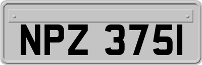 NPZ3751