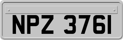 NPZ3761
