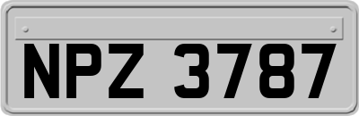 NPZ3787