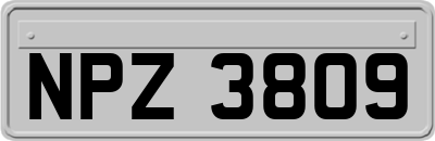 NPZ3809