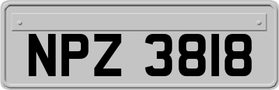 NPZ3818