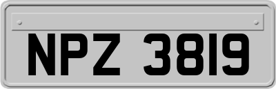 NPZ3819