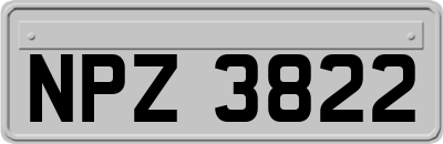 NPZ3822
