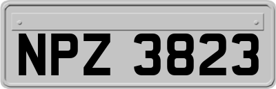 NPZ3823