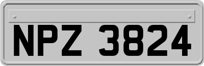 NPZ3824