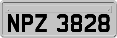 NPZ3828