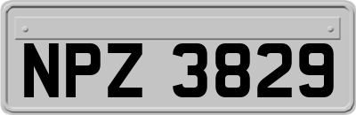 NPZ3829