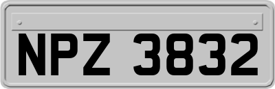 NPZ3832