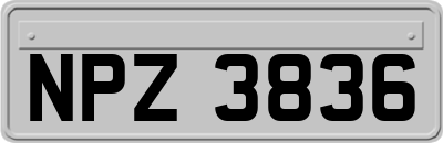 NPZ3836