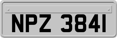 NPZ3841