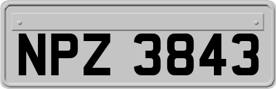 NPZ3843