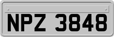 NPZ3848