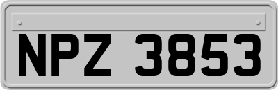 NPZ3853