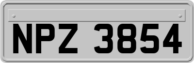 NPZ3854