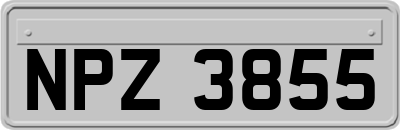 NPZ3855