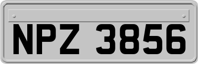NPZ3856