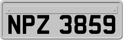 NPZ3859