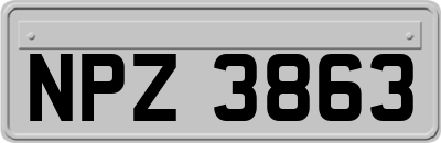 NPZ3863