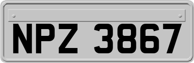 NPZ3867