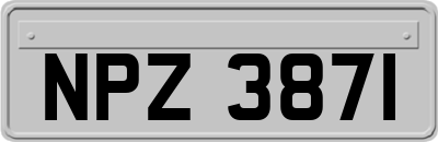 NPZ3871