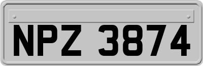 NPZ3874