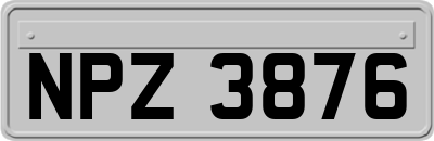 NPZ3876