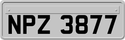 NPZ3877