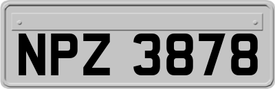 NPZ3878