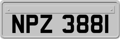 NPZ3881