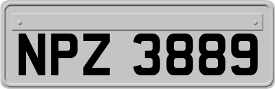 NPZ3889