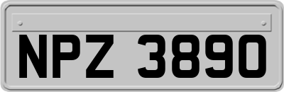 NPZ3890