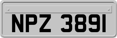 NPZ3891
