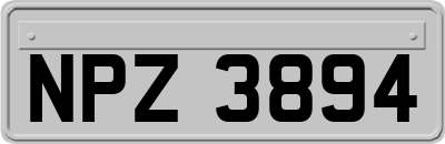 NPZ3894