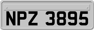 NPZ3895