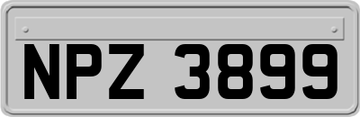 NPZ3899