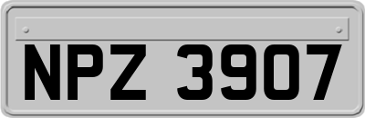 NPZ3907