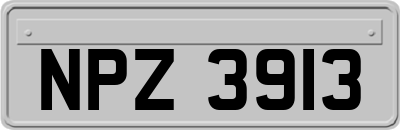 NPZ3913