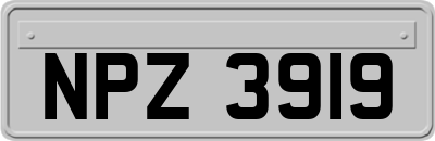 NPZ3919